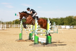 SBM_003942