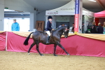 SBM_00759
