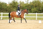 SBM_017891