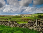 Blubberhouses Moor