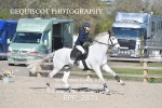 BPP_2831