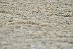 230708A-142845-03466