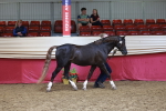 SBM_17443