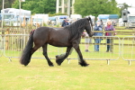 SBM_00477