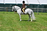 SBM_06070