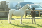 SBM_57380
