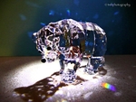 Crystal Bear.
