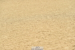 230720A-135816-03258