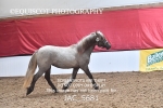JAC_5681