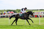 300526-Race 4-Not So Sobers-0616