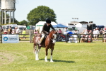 SBM_15536
