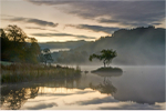 Misty Rydal