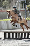 BVRC SJ 170319 386