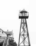 _MG_4539-2