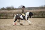 SBM_007950