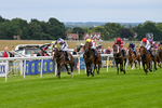 Race 2 portfolio