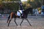 BPP_9824