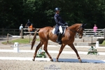 156-JUST_PERFECT-Gaspard_Maksud-WEDTrotUp+DR portfolio