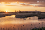 Sunrise over the Avalon Marshes