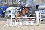 BPP_0498