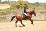 SBM_003601