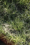 PtP 250317 432