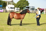 SBM_00603