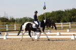 SBM_006494