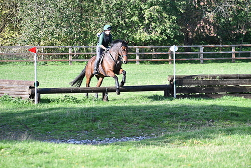 WJ5_7660