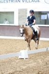 SBM_001231