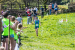 The Finish-223