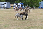 WJ6_5403