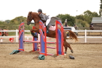 SBM_024350