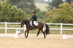 SBM_01724