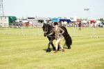 SBM_00852