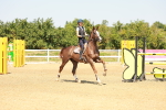 SBM_002140