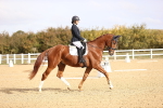 SBM_009602