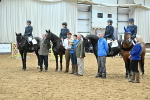 Class 60 - 1m Combined Training Showjumping portfolio