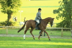 SBM_55651