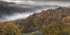 Misty Autumn Morning