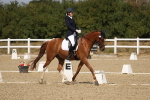 SBM_021895