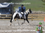 BPP_9919