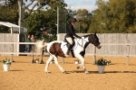 SBM_28176