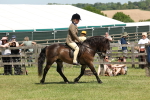 SBM_06806
