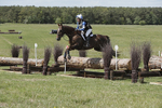 BVHT 140517  IXC -654