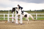 SBM_001750