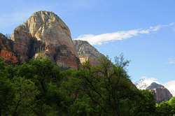 Zion National Pk.- 2011 portfolio