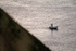 Dorset Coast _DO014