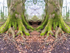 12th February Roots