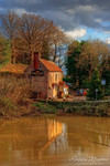 The White Hart